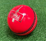 Female Cricket Store Cricket Ball