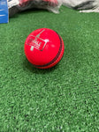 Female Cricket Store Cricket Ball