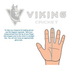 Viking Valkyrie Hardball Player Pack for Girls - Protection Only