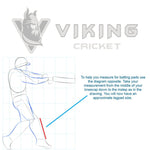 Viking Valkyrie Hardball Player Pack - With a Kashmir Willow Cricket Bat