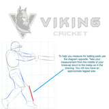 Viking Valkyrie Hardball Player Pack - With a Kashmir Willow Cricket Bat