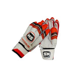 SM HK Special Gloves