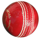 PlayPoint Special Club Ball
